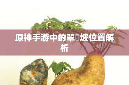 原神手游中的翠玦坡位置解析