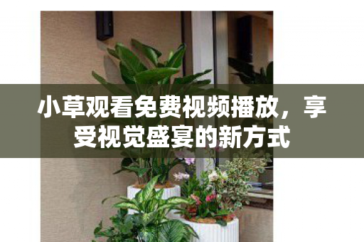 小草观看免费视频播放，享受视觉盛宴的新方式