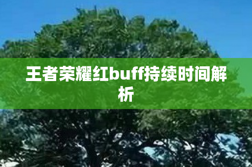 王者荣耀红buff持续时间解析