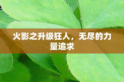 火影之升级狂人，无尽的力量追求