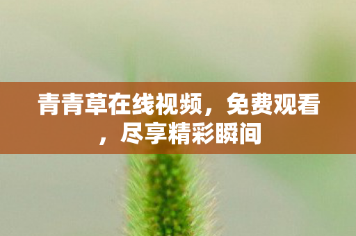 青青草在线视频，免费观看，尽享精彩瞬间