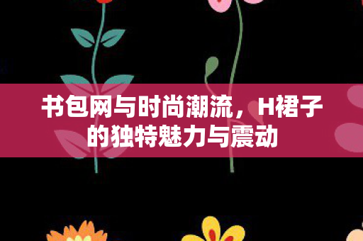 书包网与时尚潮流，H裙子的独特魅力与震动
