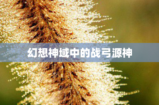 幻想神域中的战弓源神