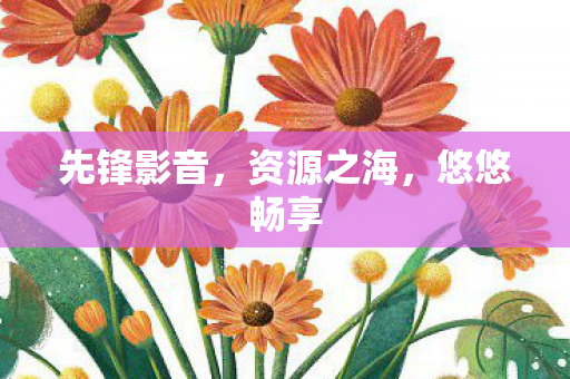 先锋影音，资源之海，悠悠畅享