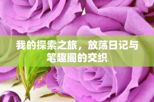 我的探索之旅，放荡日记与笔趣阁的交织