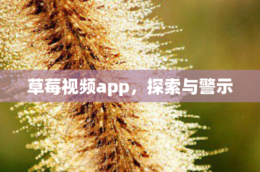 草莓视频app,探索与警示 草莓视频app,探索与警示