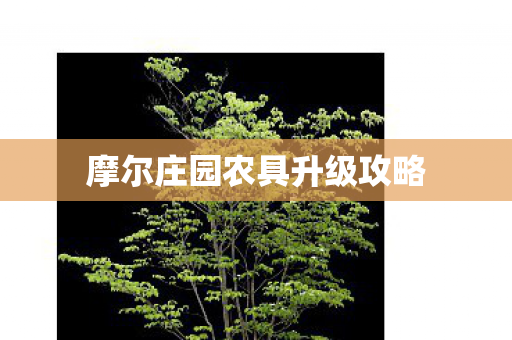 摩尔庄园农具升级攻略