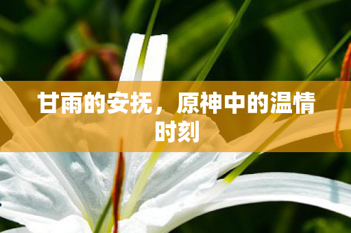 甘雨的安抚，原神中的温情时刻