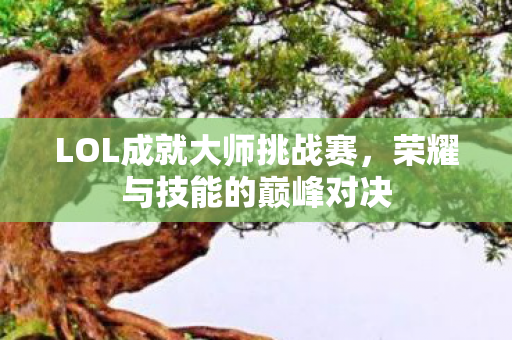 LOL成就大师挑战赛，荣耀与技能的巅峰对决