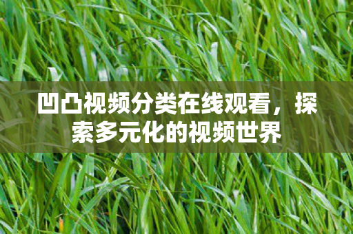 凹凸视频分类在线观看，探索多元化的视频世界