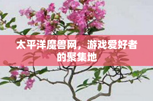 太平洋魔兽网，游戏爱好者的聚集地