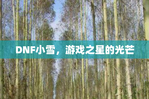 DNF小雪，游戏之星的光芒