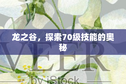 龙之谷，探索70级技能的奥秘