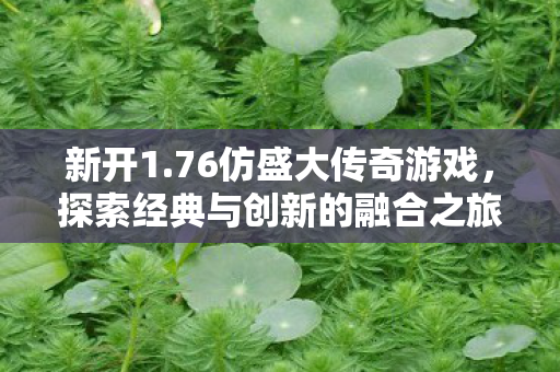 新开1.76仿盛大传奇游戏，探索经典与创新的融合之旅
