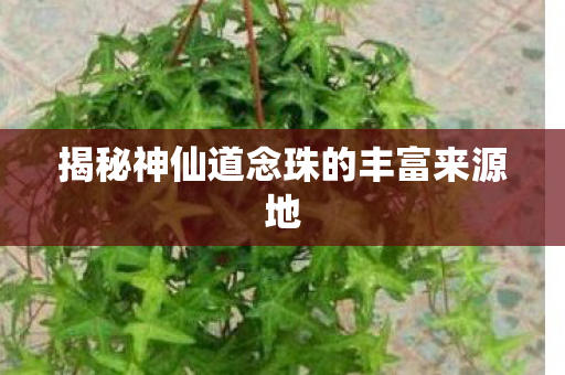 揭秘神仙道念珠的丰富来源地