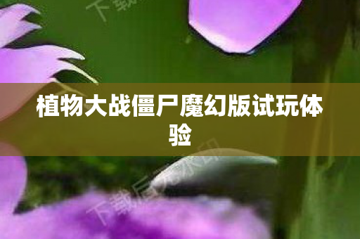 植物大战僵尸魔幻版试玩体验