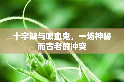 十字架与吸血鬼，一场神秘而古老的冲突