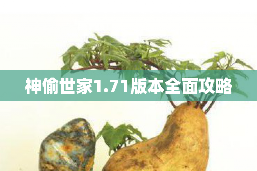 神偷世家1.71版本全面攻略