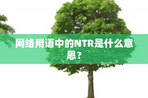 网络用语中的NTR是什么意思？