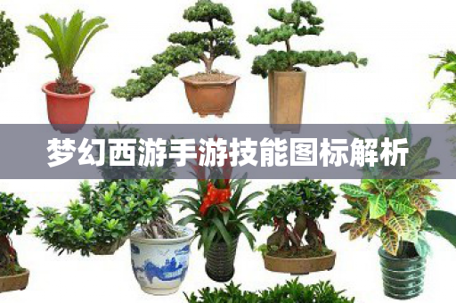 梦幻西游手游技能图标解析