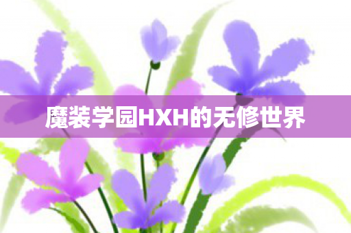 魔装学园HXH的无修世界