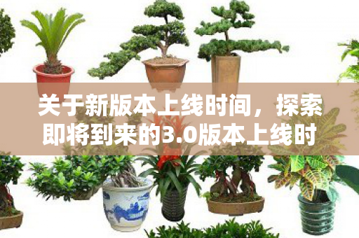 关于新版本上线时间，探索即将到来的3.0版本上线时刻