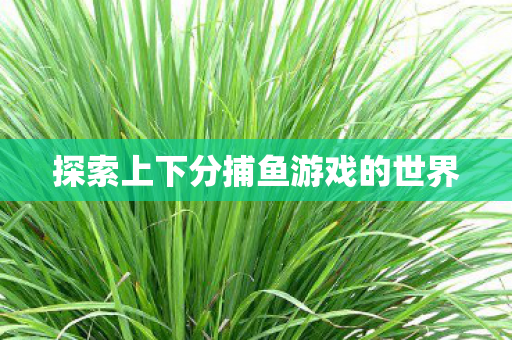 探索上下分捕鱼游戏的世界