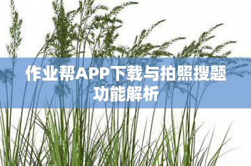 作业帮APP下载与拍照搜题功能解析