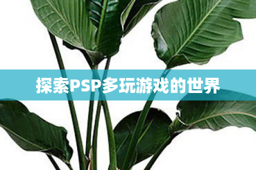 探索PSP多玩游戏的世界