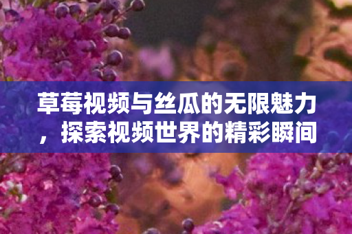 草莓视频与丝瓜的无限魅力，探索视频世界的精彩瞬间