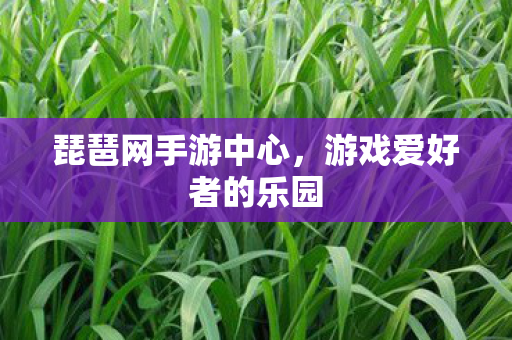 琵琶网手游中心，游戏爱好者的乐园