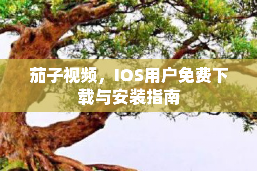 茄子视频，IOS用户免费下载与安装指南