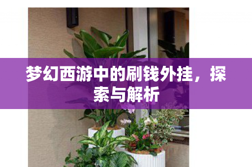 梦幻西游中的刷钱外挂，探索与解析