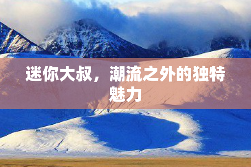 迷你大叔，潮流之外的独特魅力