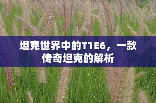 坦克世界中的T1E6，一款传奇坦克的解析