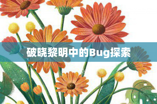 破晓黎明中的Bug探索