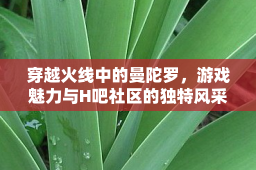 穿越火线中的曼陀罗，游戏魅力与H吧社区的独特风采