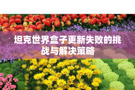 坦克世界盒子更新失败的挑战与解决策略