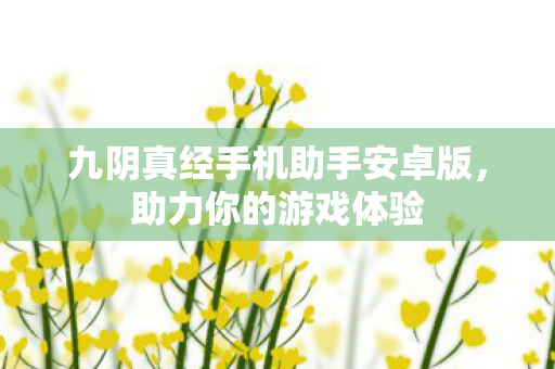 九阴真经手机助手安卓版，助力你的游戏体验