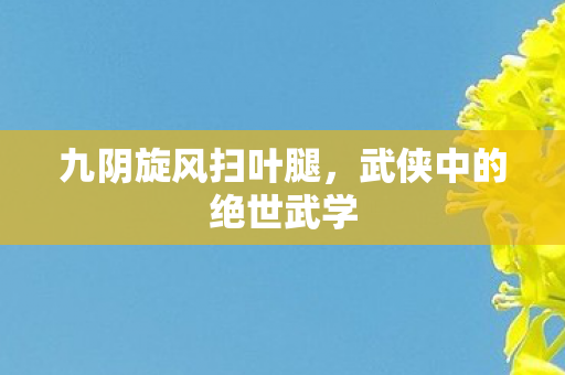 九阴旋风扫叶腿，武侠中的绝世武学