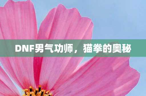 DNF男气功师，猫拳的奥秘