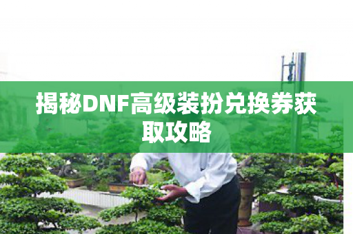 揭秘DNF高级装扮兑换券获取攻略