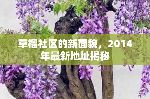草榴社区的新面貌，2014年最新地址揭秘