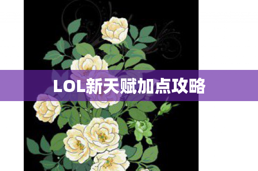 LOL新天赋加点攻略