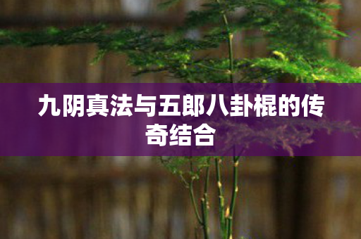九阴真法与五郎八卦棍的传奇结合
