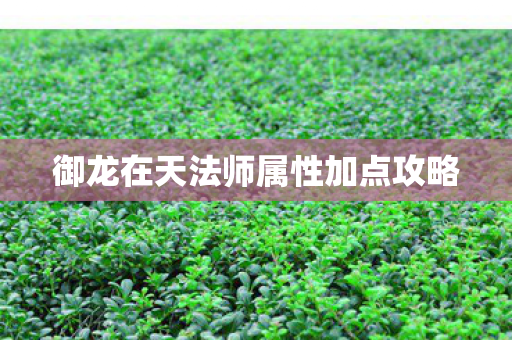 御龙在天法师属性加点攻略