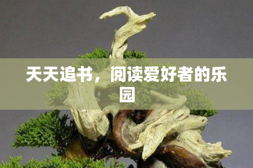 天天追书，阅读爱好者的乐园