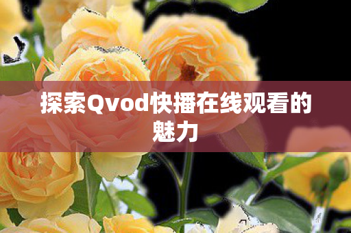 探索Qvod快播在线观看的魅力