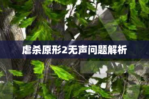 虐杀原形2无声问题解析