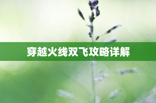 穿越火线双飞攻略详解